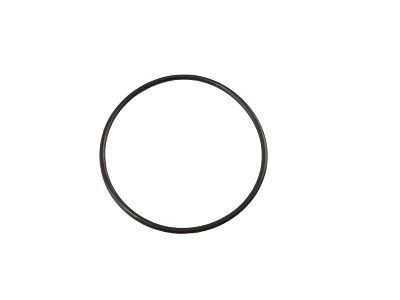 GM 12559095 Seal,Oil Filter Adapter(O Ring)