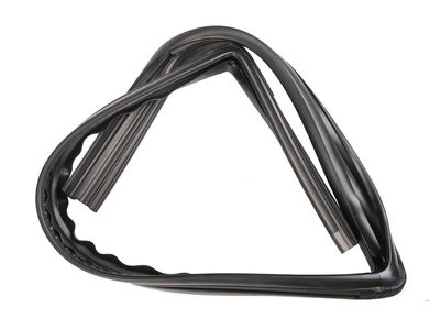 Pontiac G3 Weather Strip - 95980741
