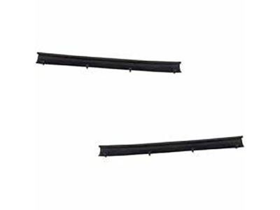 GM 20835973 Weatherstrip, Rear Side Door Lower Auxiliary