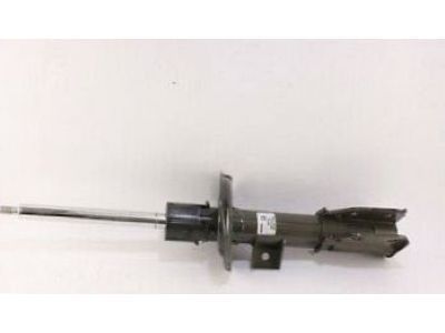 GM 19207092 Front Suspension Strut Kit