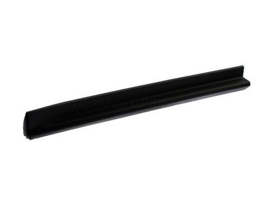 2010 Chevrolet Equinox Door Moldings - 25824824