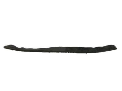 Cadillac Weather Strip - 25925190