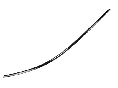 2021 Cadillac CT5 Door Moldings - 84039295