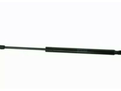 GM 15911045 Strut Asm,Lift Gate