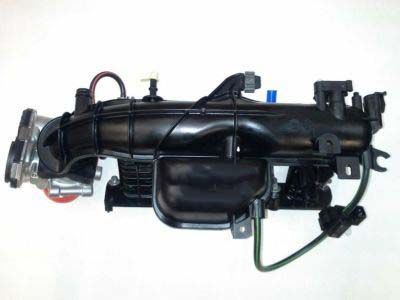 GM 55581015 Manifold Assembly, Intake (W/Throttle Body & Multiport F