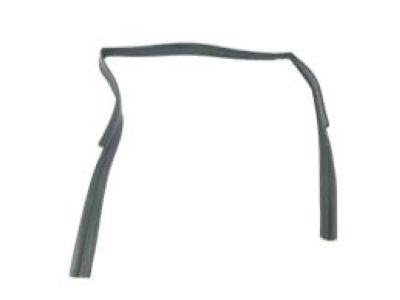 GM 84462124 Weatherstrip Assembly, Rear S/D Wdo