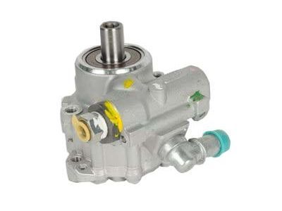 GM 20806165 Pump Assembly, P/S