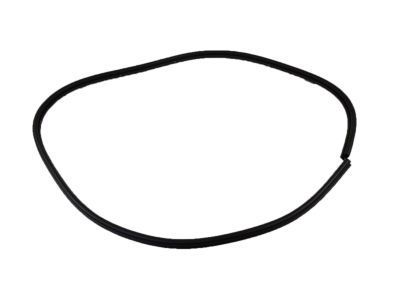 1999 Chevrolet Malibu Door Seal - 22623348