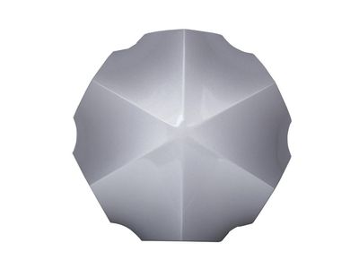 GM 25620005 Wheel Trim Cap 25620005 GM Wheel Trim Cap Product Photo 1 of 2