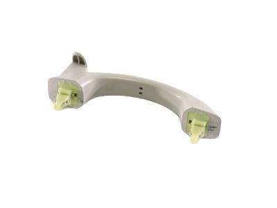 GM 15079242 Handle,Asst