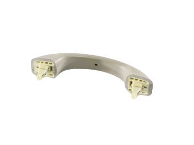 GM 15079242 Handle,Asst