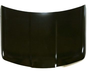 GM 15293413 Hood