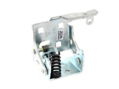 GM 20969645 Hinge Assembly, Front Side Door Lower