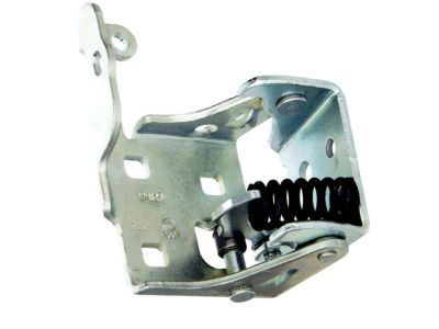 GM 20969645 Hinge Assembly, Front Side Door Lower