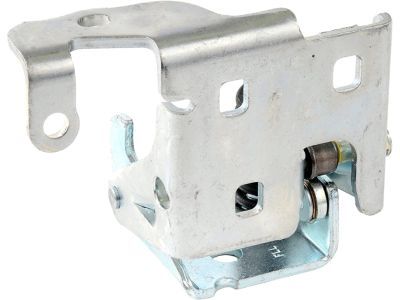 GM 20969645 Hinge Assembly, Front Side Door Lower