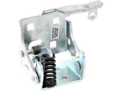 GM 20969645 Hinge Assembly, Front Side Door Lower