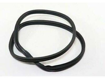 2015 Chevrolet Tahoe Weather Strip - 20963245