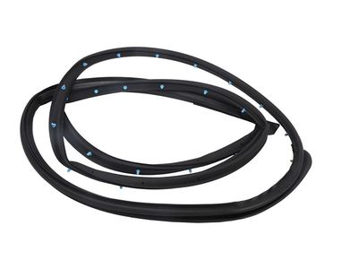 Buick Door Seal - 42763357