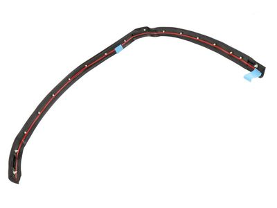 GM 23455371 Rear Side Door Rear Auxiliary Weatherstrip Assembly 23455371 GM Rear Side Door Rear Auxiliary Weatherstrip Assembly Product Photo 1 of 2
