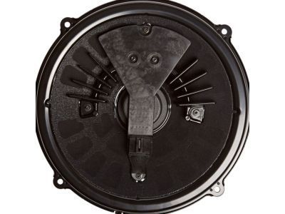 GM 25950303 Speaker Assembly, Radio Rear