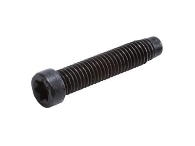 GM 11612234 Bolt/Screw 11612234 GM Bolt/Screw Product Photo 1 of 2