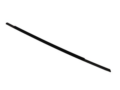 Buick Enclave Door Moldings - 85576569