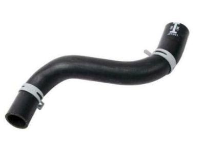 Pontiac Grand Prix Radiator Hose - 10423132