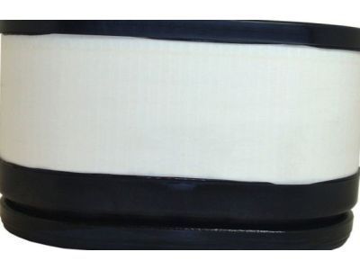 Chevrolet Express Air Filter - 15102546