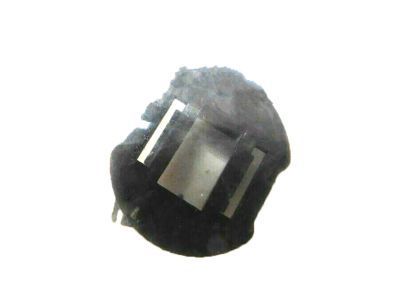 GM 10294517 Retainer