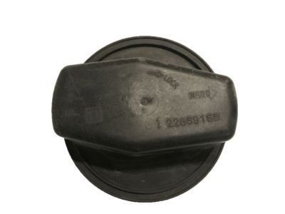 GM 22869160 Cover, Headlamp Bulb Access
