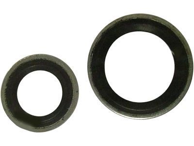 GM 10313109 Seal Kit,A/C Compressor Portion (O Ring)