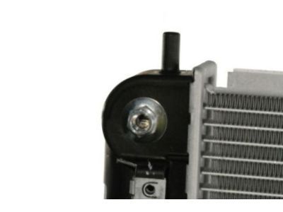 GM 89018715 Radiator Assembly