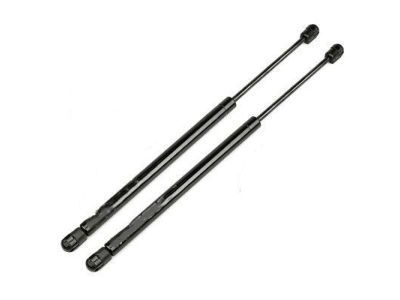 Cadillac STS Tailgate Lift Support - 15861154