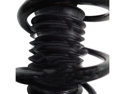 GM 23447420 Front Coil Spring