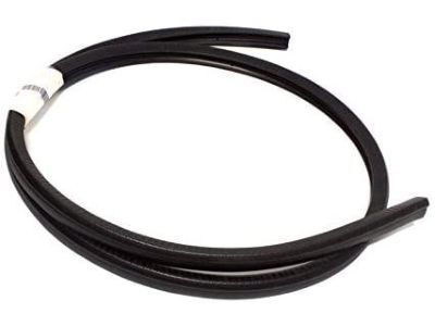 2005 Pontiac Grand Am Door Seal - 22614342