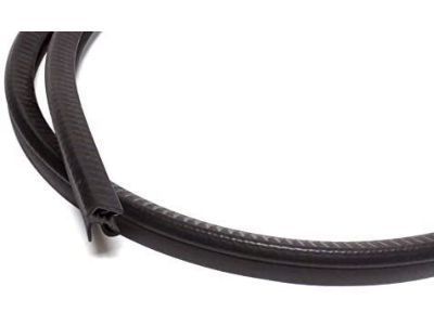 GM 22614342 Weatherstrip Assembly, Roof Side Rail