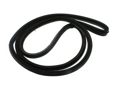 2010 Chevrolet Equinox Weather Strip - 23495336