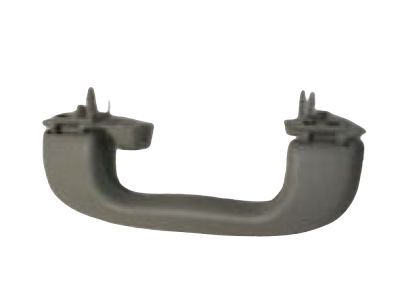 GM 20826120 Handle,Roof Rail Front Asst