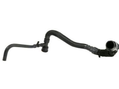 2011 Chevrolet Express Radiator Hose - 19351811