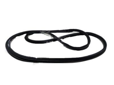 GM 20909102 Weatherstrip Assembly, Lift Gate