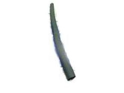 2005 Buick Park Avenue Weather Strip - 25634571