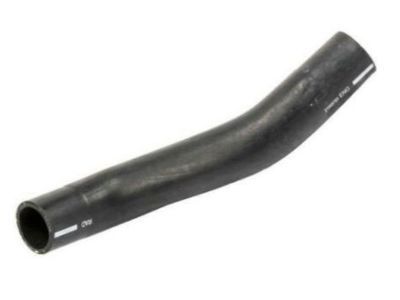 2007 Cadillac DTS Radiator Hose - 21999765