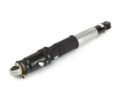 GM 15223046 Rear Shock Absorber Assembly (W/ Upper Mount)