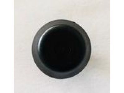 GM 55354919 Cap, Trans Vent