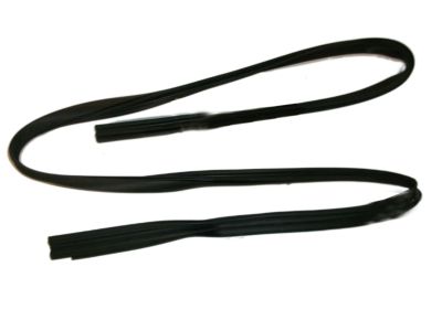 Saturn SL Weather Strip - 21096820