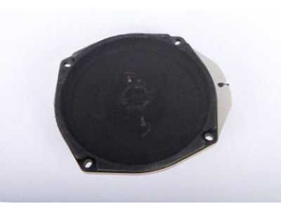 GM 16257961 Speaker Assembly, Radio Quarter