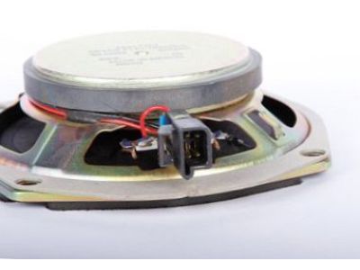 GM 16257961 Speaker Assembly, Radio Quarter