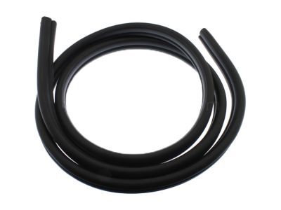 2005 Pontiac Grand Prix Door Seal - 89039905