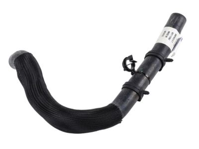 Chevrolet Corvette Oil Cooler Hose - 84214924