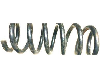 GM 10306378 Rear Spring